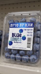 אוכמניות יבוא ג'מבו (עיסקי)