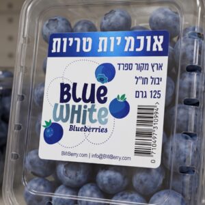 אוכמניות יבוא ג'מבו