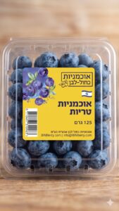 אוכמניות יבוא (עיסקי)