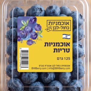 אוכמניות יבוא