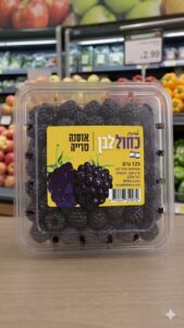 אסנה כחול לבן (עיסקי)