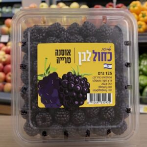 אסנה כחול לבן