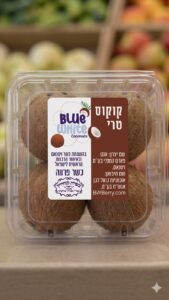 קוקוס לשתיּה (עיסקי)