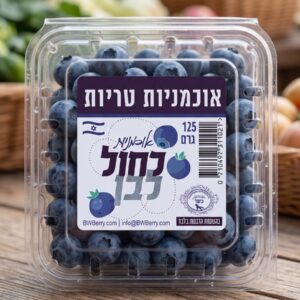 אוכמניות כחול לבן
