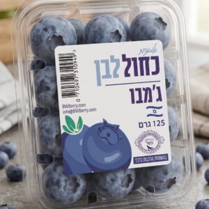 אוכמניות כחול לבן ג'מבו