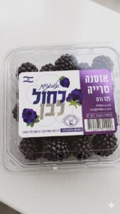 אוסנה כחול לבן
