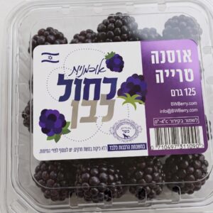 אסנה כחול לבן