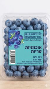 אוכמניות יבוא -עסקי