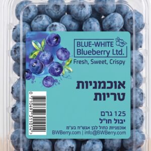 אוכמניות יבוא